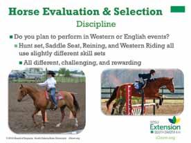 Each type of discipline requires a different set of skills used by both the horse and rider along with different tack and show attire.
