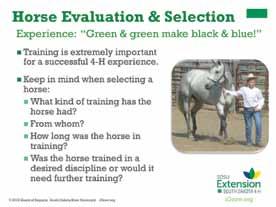 Slide 5 Do I want a registered horse? Speaker Notes: Sometimes, having a horse that is registered with a well-known breed organization can add sale value to that horse.