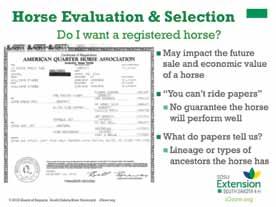 The saying you can t ride papers is adage for that. The papers are not what show up in the arena, rather the horse has to perform.