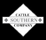 Southern Less Feed, More Gain Bull Sale Saturday, October 30, 2010 ~ 12 pm CST at Southern Cattle Company ~ Marianna, Florida To preview videos of sale cattle, please visit us at: www.