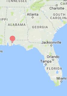 Accident at International Paper s Pensacola Mill in Cantonment, Florida An explosion on the evening of January 22, 2017, caused significant structural damage to the pulp digester and the power house