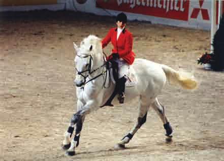 the horse is the most important aspect of the sport.