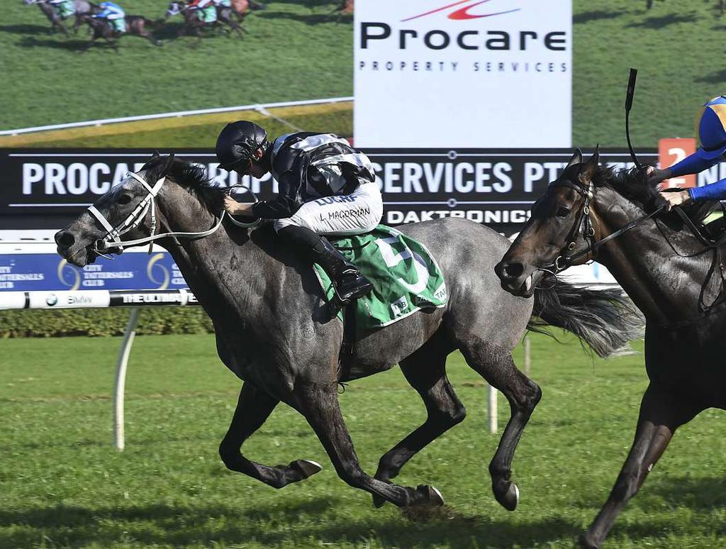Neville Morgan. Having purchased Group One winner Kermadec at Karaka and sealing a deal for him to now stand at Darley, Kaonic s win on Saturday hinted he may follow a similar path.