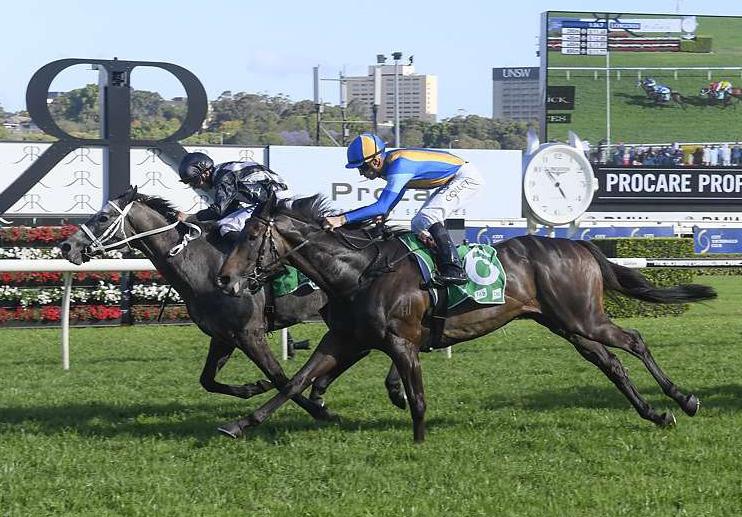 l CHRIS WALLER RACING - WINNERS THIS WEEK mortar platoon 5yo G Myboycharlie - America Nova by Verglas Weary s younger brother may not possess the same level of ability as that former stable favorite