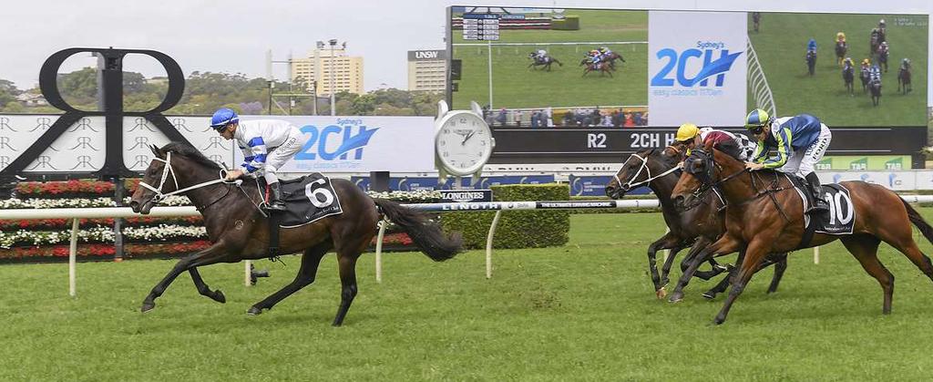 The winner seemed to relish the soft track conditions and can hopefully add to this win in the coming weeks now that his confidence should be restored with this win.