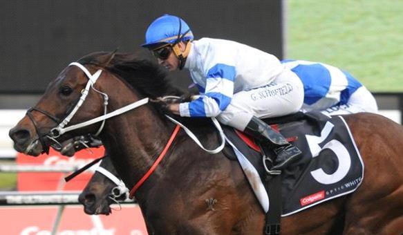 Kaonic win confirms Carbine Stakes start Kaonic brought back memories of Kermadec at Randwick, as the colt locked onto the same spring path as the Group One winner.