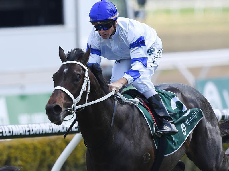 After claiming the 2CH Handicap (1600m) by two lengths, Waller's racing manager Charlie Duckworth said Kaonic would target the Group Three Carbine Club Stakes over the same trip on Victoria Derby day