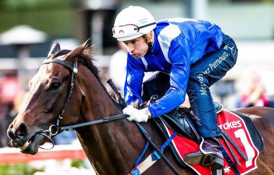 Brand Winx big business as Black Caviar crew guide mare s owners in corporate world Team Winx is big business for the top end of town, so much so that the popularity of Chris Waller and Hugh Bowman