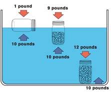 Buoyancy Buoyancy is the upward force that water places on an object when the object is in water.