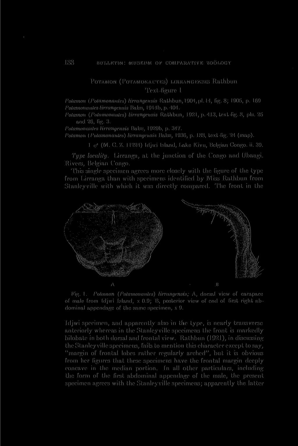8 BULLETIN: MUSEUM OF COMPARATIVE ZOOLOGY POTAMON (POTAMONAUTES) LIRRANGENSIS Rathbun Text-figure 1 Potamon (Potamonautes) lirrangensis Rathbun, 1904,pi. 14, fig. 8; 1905, p.