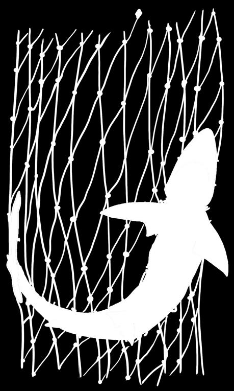 If entangled sharks are lifted up with the net towards the power block, this is dangerous