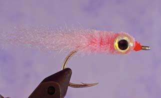 location. Squid, for instance, have their eyes set well back on their body. Some mullet species have their eyes almost on top of their head. Most baitfish have something that sets them apart.