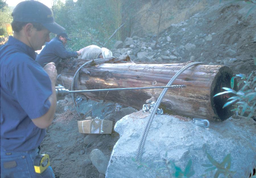 DRILLING HOLES FOR CABLING Will Drew augurs through a redwood log. Cable is passed through the hole, around the log, through cable anchors glued into the boulder and clamped.