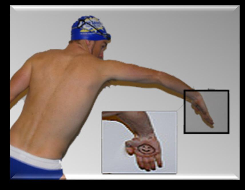 Developing a better feel for the water for the Bambino swim type is essential as this will further assist you with the timing of your stroke and give you greater support from your lead hand when