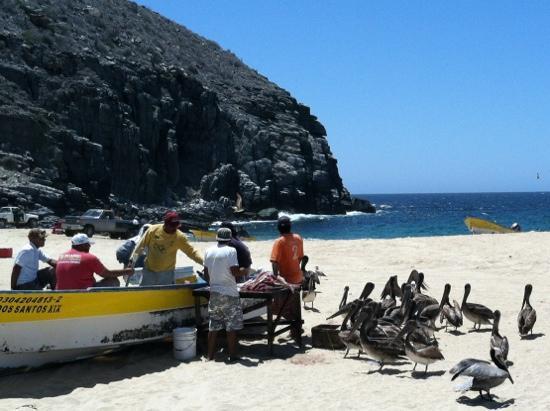 Kayak-fishing Punta lobos Fisherman's beach - shore break surf acivity,