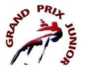 Junior Grand Prix of Figure Skating 2012/2013 ISU Junior