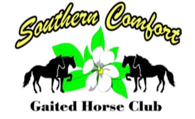 Halter-GAITED 3. Showmanship in-hand, Youth 4. Showmanship in-hand 5. Bareback Ride-A-Buck 6. Bareback Equitation 7. Lead-line 8. Novice Horse or Rider, 2 Gait 9. English Equitation, Youth 10.