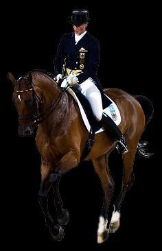 for AHA Region 11 & US Sport Horse Nationals Dressage & Pre Entry Closing Date (received by): May 9, 2017 Mayflower Division Manager: Sharon Greif, (319)350-3075, email: sharongreif@gmail.