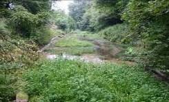 Where are the chalk streams and rivers in Sussex? In Sussex we have three designated chalk rivers The Ems and Lavant in West Sussex and the Lewes Winterbourne in East Sussex.