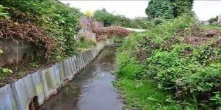 Problems with Sussex chalk streams Ditched and re-inforced chalk stream N Holmes Defunct weir N Holmes Urbanised chalk stream N Holmes Ditching & Removal of Natural Features One of the main factors