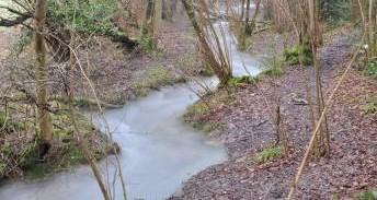 How can I manage my chalk stream in a more wildlife-friendly way?