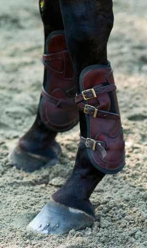 For most English-riding competitions, the appropriate bit is a snaffle without shanks.