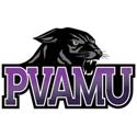 Prairie View A&M University Panther Doll Dance Team Audition Packet Director Nina S.