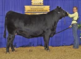 Guest Consignors Peppers Pride 302A 3/4 Blood P BD: 10/10/13 P ASA# 2820868 P Tattoo: 302A Consignor: Elmore Cattle Co.