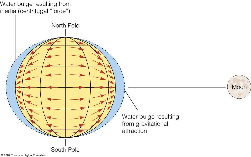 centrifugal forces at the earth surface) is