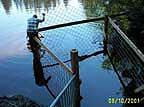 to reach the bottom of the pond securely as well as extend at least 2 feet above the