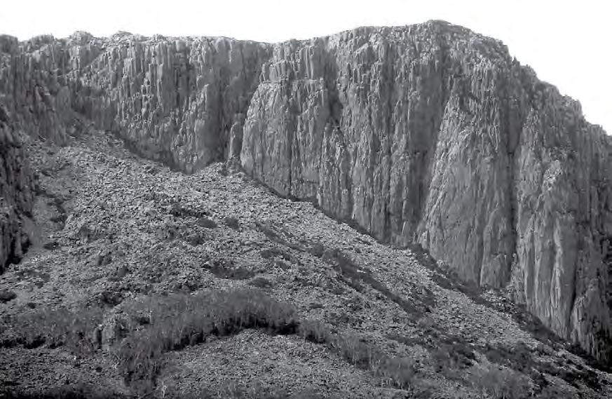 Heimdall Crag Descent Gully Cliff 24 Descent Gully 238 239 Ruwenzori Face 239a 240 238 Rorkes