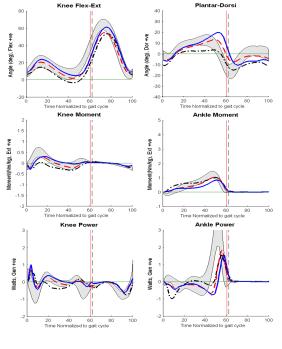 Knee-Ankle Sagittal Plane Kinematics and Kinetics less than typical (dash-dot) typical (large dash) greater than typical (solid) Increased Equinus in