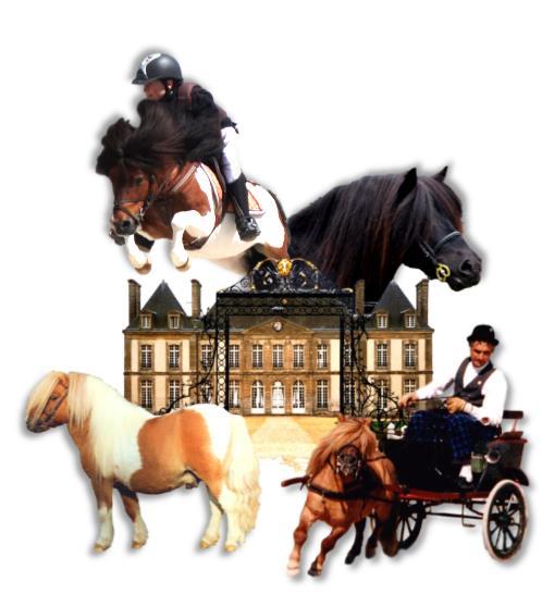 Jubilee celebration in a historical setting dedicated to the horse, the National Stud du Pin in Normandy. Our mascot Shetti and our team welcome you for a weekend dedicated to the Shetland Pony.