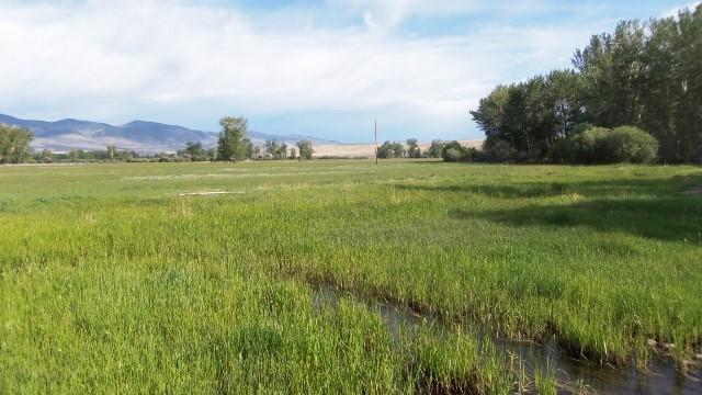 The rest of the acreage falls into subirrigated and native pasture, which all combined, offers one of the most incredible riparian properties along the