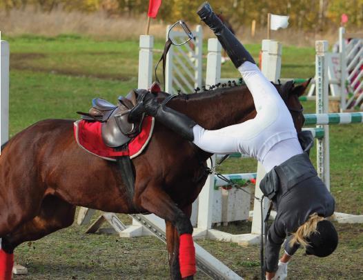 Many instructors and grooms are self employed therefore are not entitled to SSP if unable to work Horses are unpredictable and weigh on average half tonne so when dealing with them regularly an