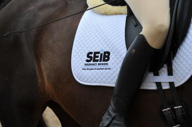 Equestrian insurance since 1963 Bespoke offerings Links with