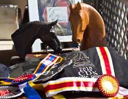 The program of the Society is educational, designed primarily to offer a framework in which individuals can progress with the schooling of themselves and their horses.