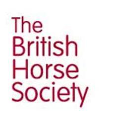 Annex B: 2016 Riding Hat Standards - British Horse Society 2016 Riding Hat Standards Overview Due to a change by the European Commission regarding EN1384 and BSEN1384 no longer being an accepted