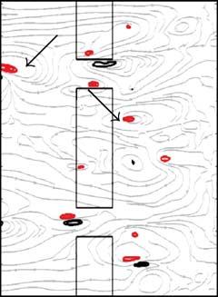 Vorticity contour lines are black for positive (counterclockwise) vorticity and red for negative (clockwise) vorticity with contour interval of 0.5s 1.