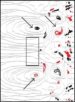 From left to right and from top to bottom the contour plots of the vorticity field are superposed onto the instantaneous