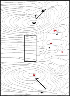 Vorticity contour lines are black for positive (counterclockwise) vorticity and red for negative (clockwise) vorticity with