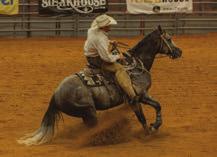 Seven S Keota is by Shining Spark and out of Seven S Suzanna (by Son O Leo) and not only brings the beautiful palomino color to the table, but offers us the great minds and reining ability that