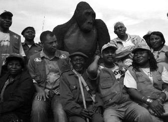 D. R. CONGO The Groups Mufanzala and Birindwa after the Death of their Silverbacks After the death of the two silverbacks of these gorilla groups on March 26 th and May 30 th 2009, respectively,