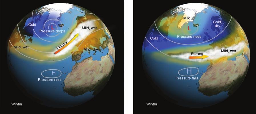 OCEAN ATMOSPERE RELATIONSIPS 137 warm El Niño winters fueled urricane Linda, which devastated the western coast of Mexico. Linda was the strongest hurricane ever recorded in the eastern Pacific.
