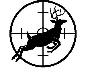 Firearm-Related Activities Target shooting %