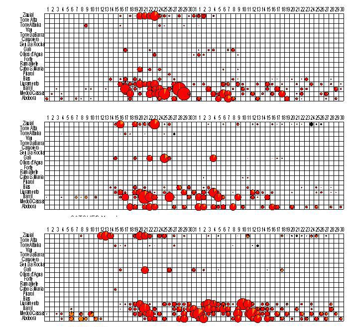 Figure 0: Daily catches of small and medium bluefin taken during July and August by each of the Algarve traps during the year 898 (upper panel), 899 (central panel) and 900 (lower panel).
