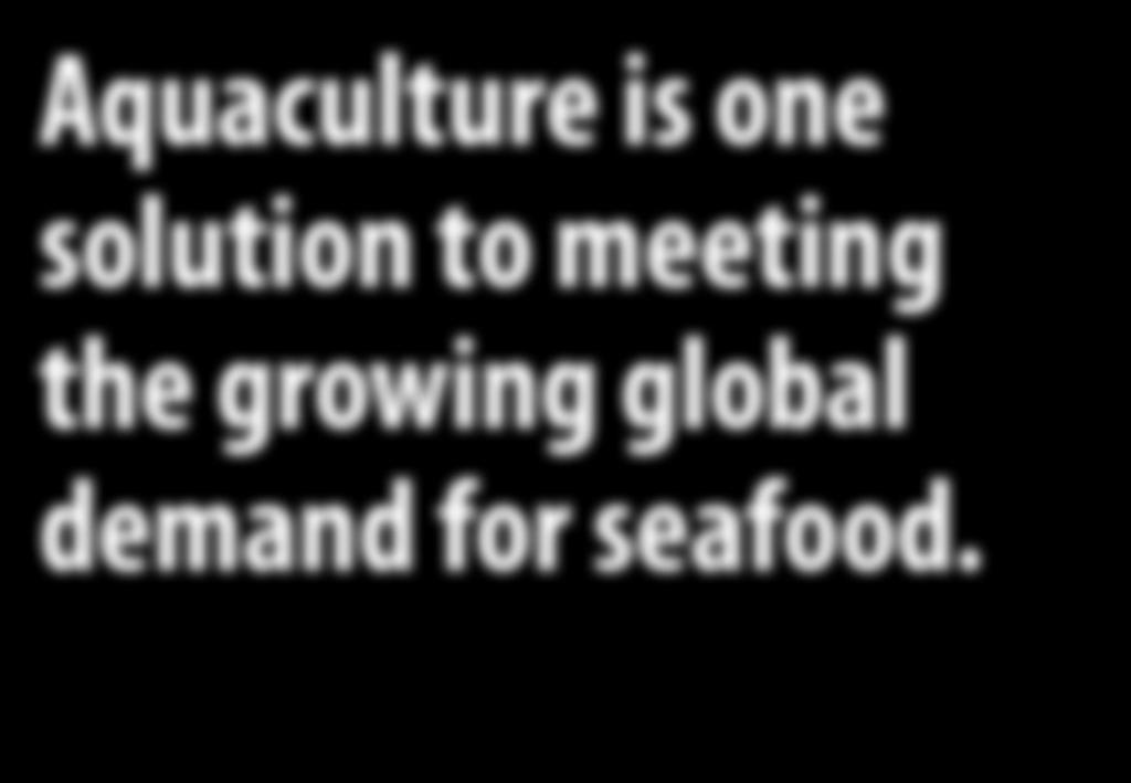 are innovators and problem solvers who love to learn and More than half of all seafood consumed already originates from aquaculture.