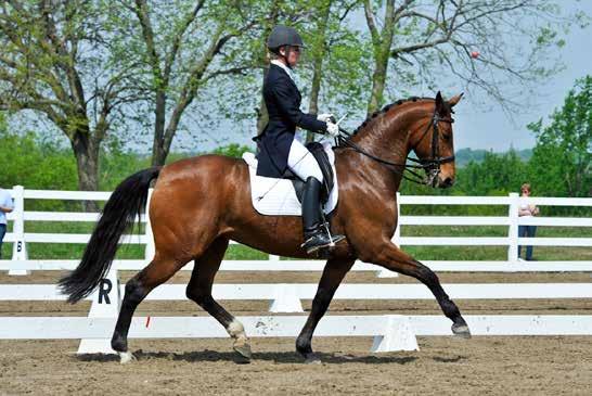 Melissa Allen Dressage Melissa is a USDF Certified Instructor Through 4th Level and a USDF Bronze, Silver and Gold