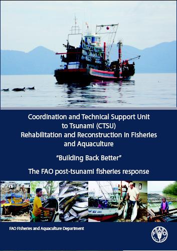3 Phases of post tsunami response in fisheries and aquaculture Tsunami disaster now? 1. Emergency relief 2. Rehabilitation & reconstruction 3.