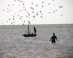 106 Fisheries in the Inner Niger Delta Fig. 5.